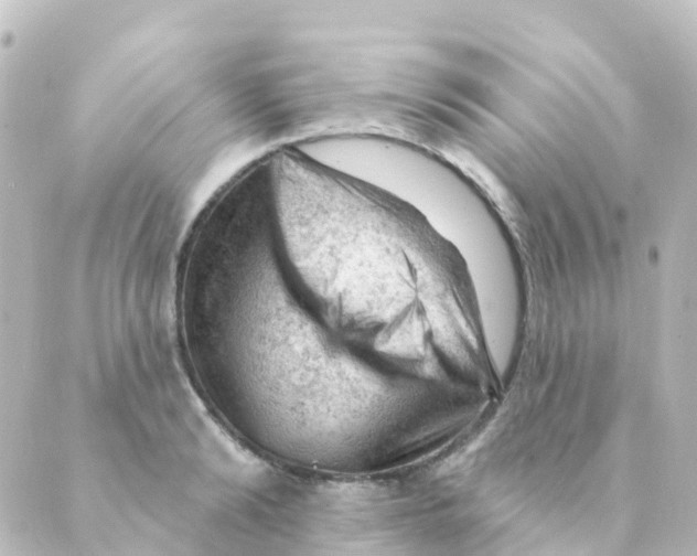 X0000088650894200706221607