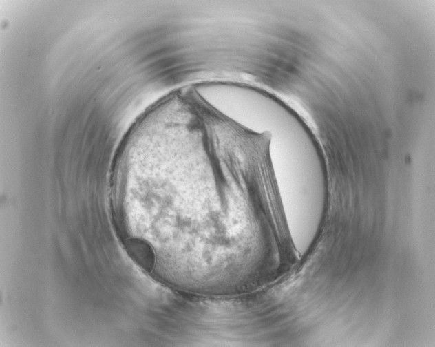 X0000088650895200706221607