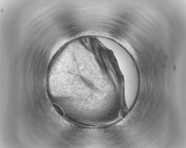 X0000088650896200706221607