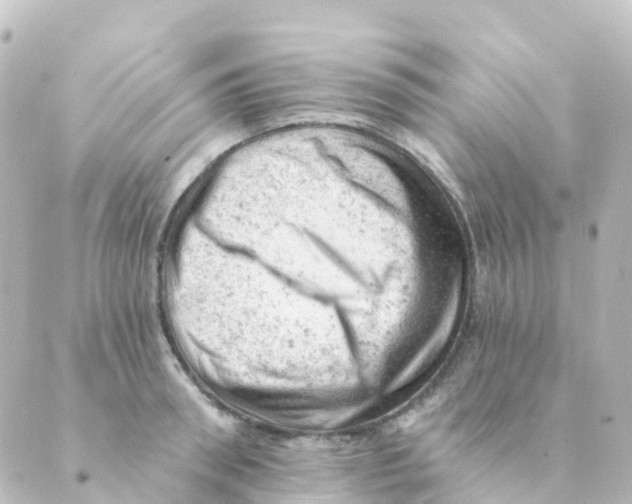 X0000088650898200706221607