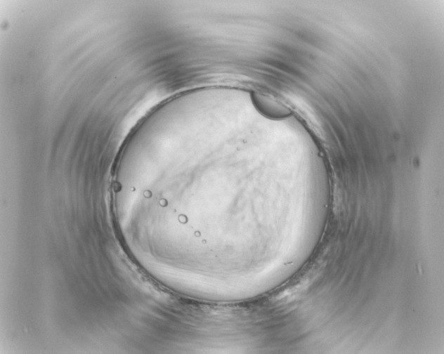 X0000088650899200706221607