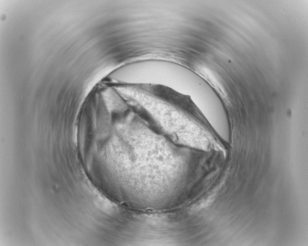 X0000088650900200706221607