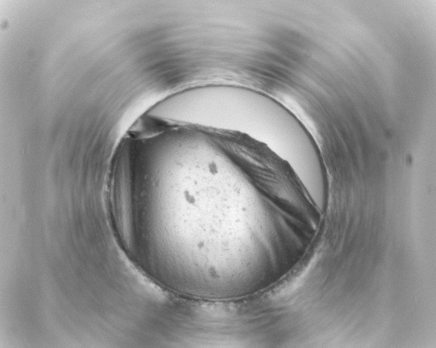 X0000088650901200706221607