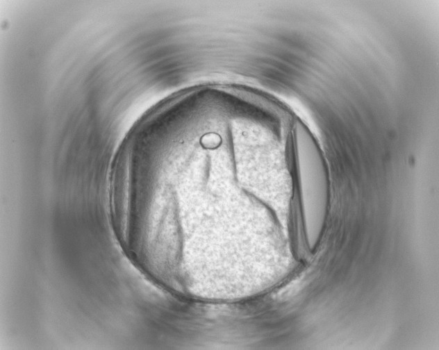 X0000088650903200706221607