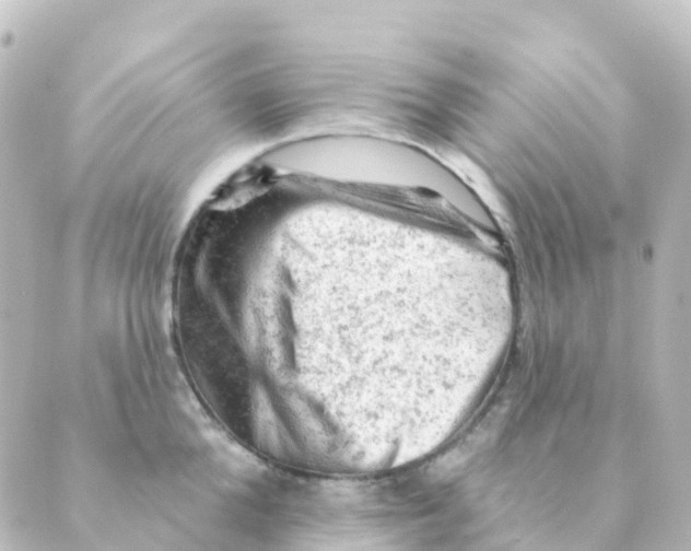 X0000088650904200706221607