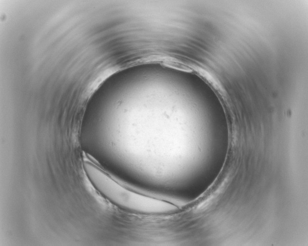 X0000088650905200706221607