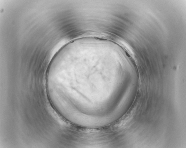 X0000088650907200706221607