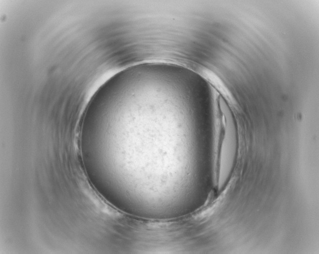 X0000088650908200706221607