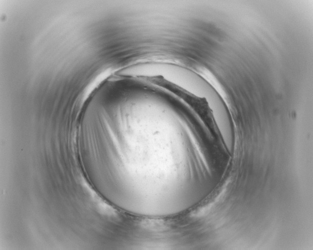 X0000088650909200706221607