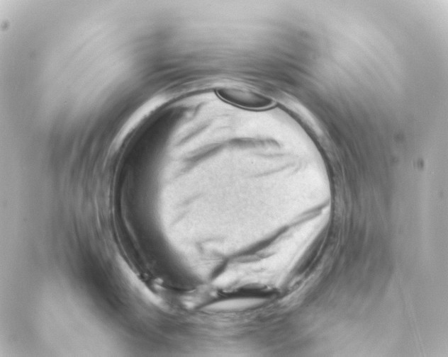 X0000088650910200706221607