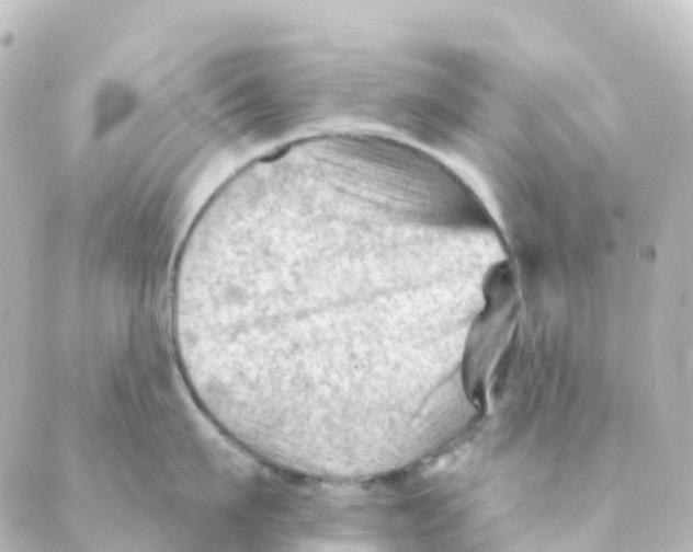 X0000088650911200706221607