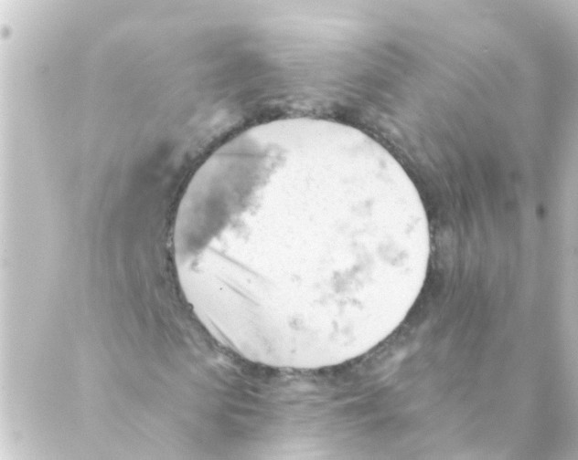 X0000088650913200706221606