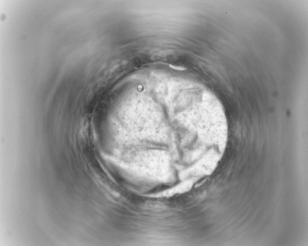 X0000088650914200706221606