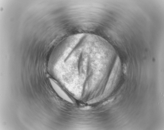 X0000088650915200706221606