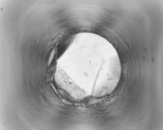 X0000088650916200706221606