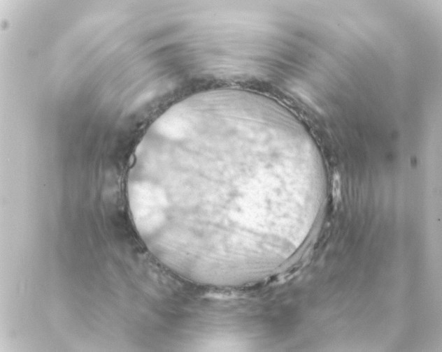 X0000088650917200706221606