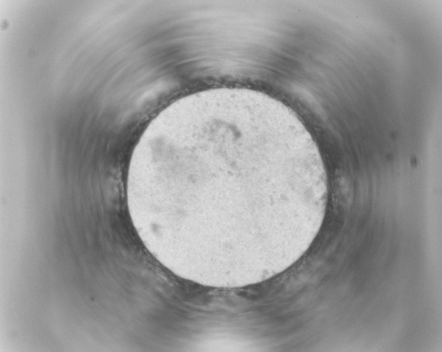 X0000088650918200706221606