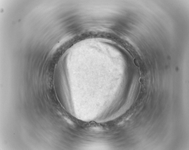 X0000088650919200706221606