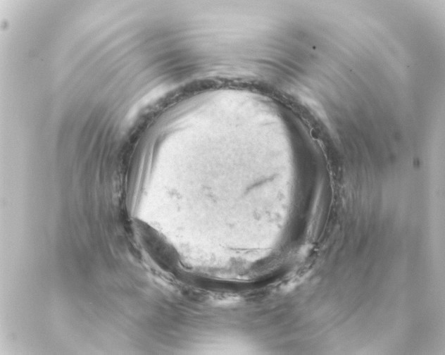 X0000088650920200706221607