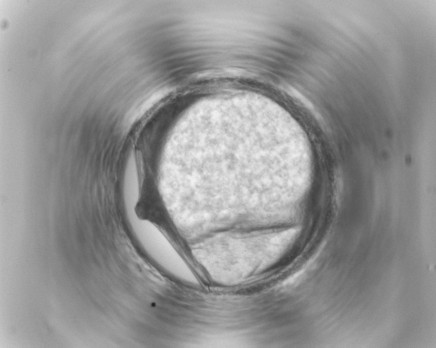 X0000088650921200706221607