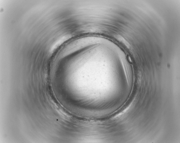 X0000088650922200706221607