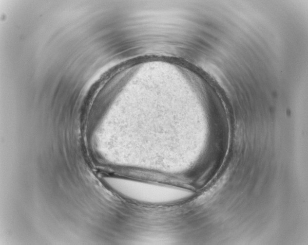 X0000088650923200706221607