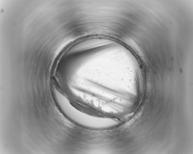 X0000088650924200706221607