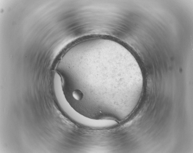 X0000088650926200706221607