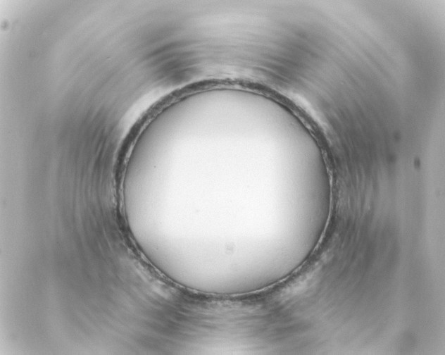 X0000088650927200706221607