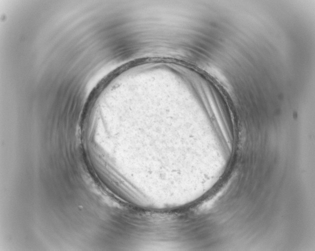 X0000088650928200706221607