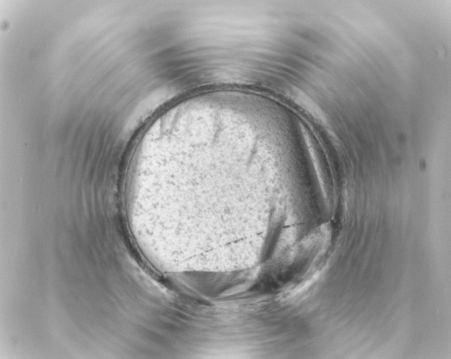 X0000088650930200706221607