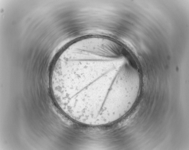 X0000088650931200706221607