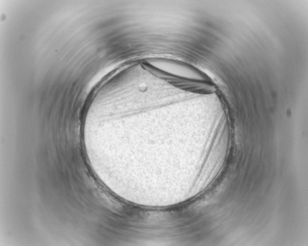 X0000088650933200706221607