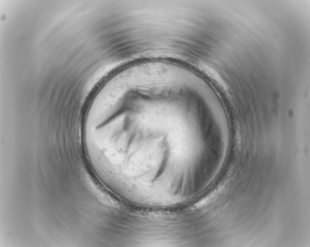 X0000088650934200706221607