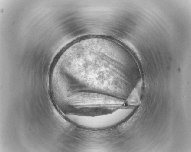 X0000088650935200706221607