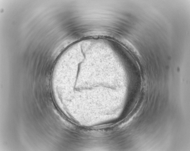 X0000088650937200706221607