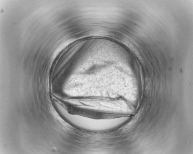 X0000088650939200706221607