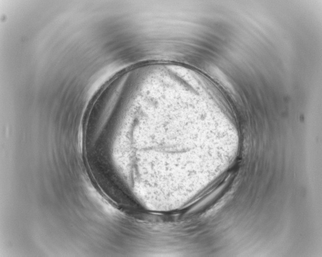 X0000088650940200706221607