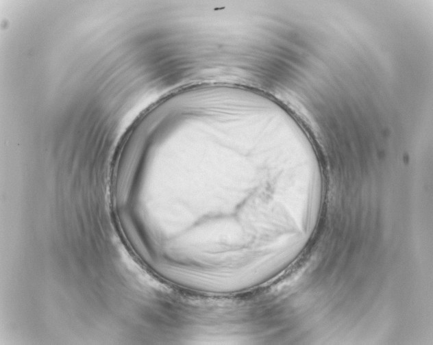 X0000088650941200706221607