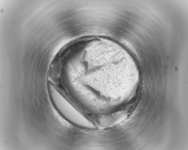 X0000088650942200706221607