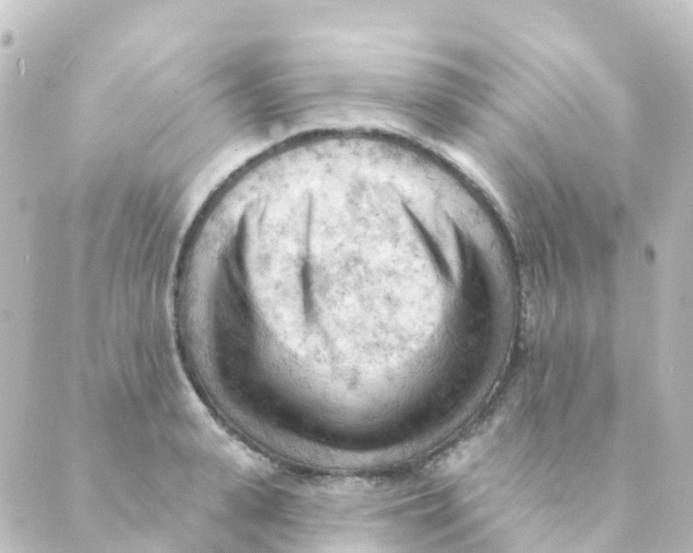 X0000088650943200706221607