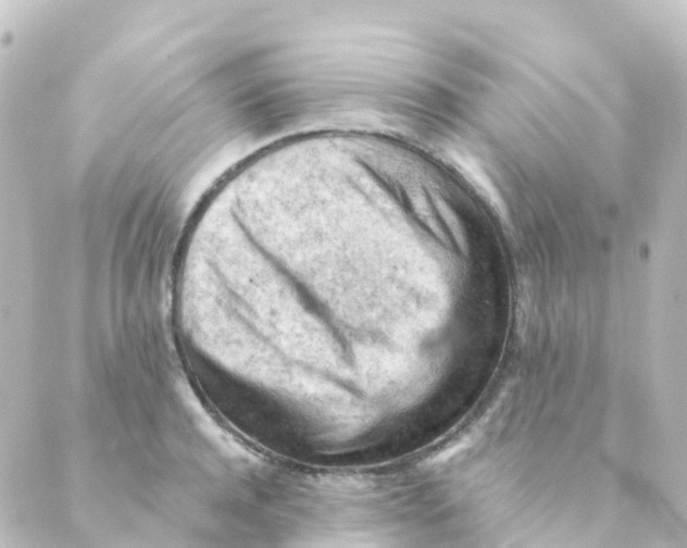 X0000088650944200706221607