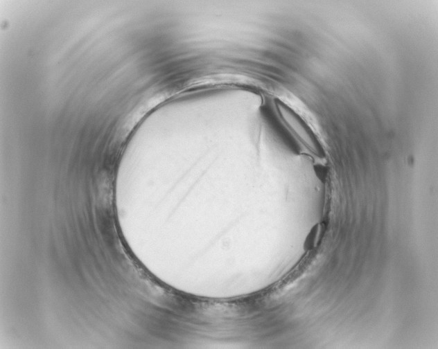 X0000088650945200706221607