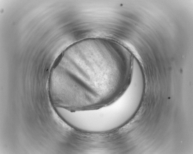 X0000088650946200706221607