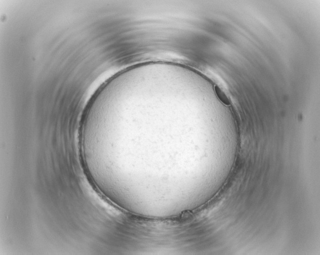 X0000088650947200706221607