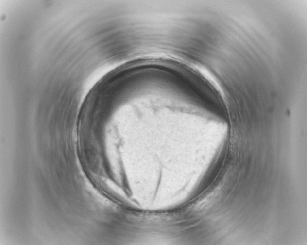 X0000088650951200706221607