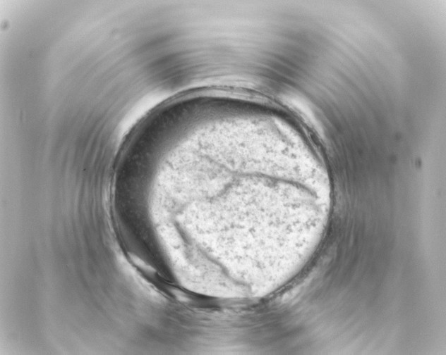 X0000088650952200706221607