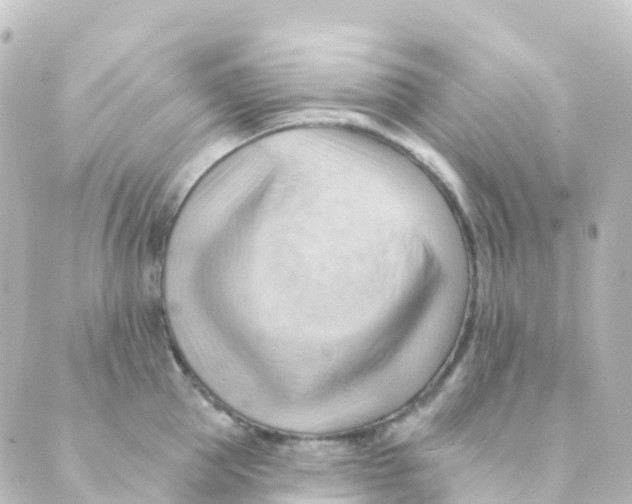 X0000088650953200706221607