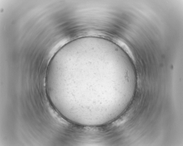 X0000088650954200706221607