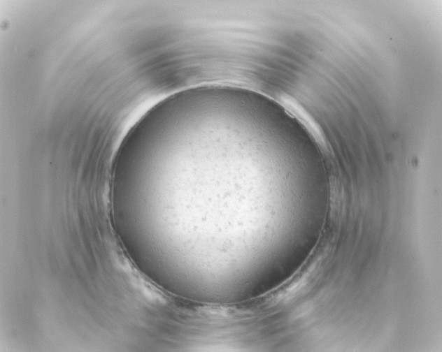 X0000088650956200706221607